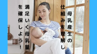 仕組みを理解して母乳育児の手助けに！母乳はどのようにして作られるのか。