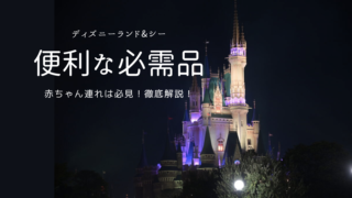 ディズニーに赤ちゃんを連れていく時の必需品4点！