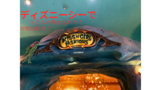 【奇跡！】ディズニーシーで子供の靴をわすれた逆転劇！